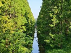 -黄海国家森林公园