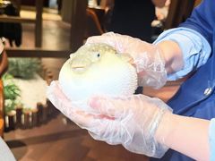 -肆月河豚·淮扬菜·湘菜(华天店)