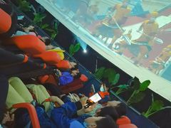 -郑州方特梦幻王国