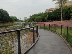 -映月湖公园