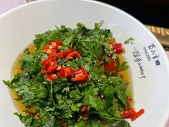 -蜀九香火锅(玉林店)