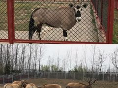 -宿豫区运河湾森林动物园