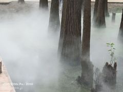 -东湖落雁景区