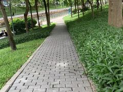 -后襄河公园