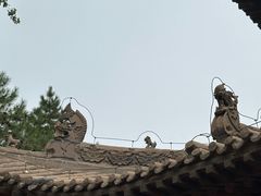 -张掖大佛寺景区