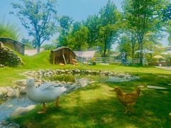 -HERRE·FARM 赫尔露营农场·团建聚会包场