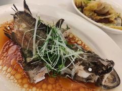 清蒸花尾龙趸斑-稻香酒家·33年老字号·港式粤菜(富邦中心店)