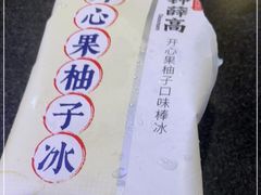 -大龙燚火锅(春熙店)