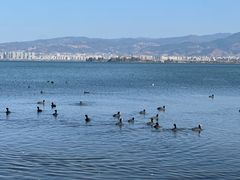 -西昌邛海湾柏樾酒店(原邛海湾柏栎度假酒店)