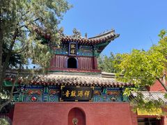 -洛阳白马寺