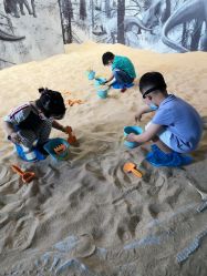 -恐龙探索乐园(磁器口店)