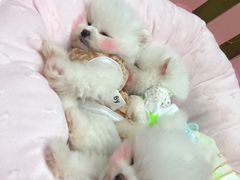 -万达广场(南京江宁店)