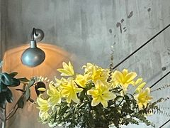-Apollo·西班牙小酒馆(安福路店)