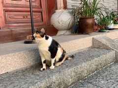 -韬光茶庵