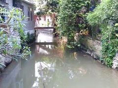 -小洲村