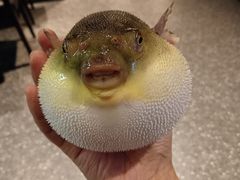 -永安鱼庄·镇江菜(东吴路店)