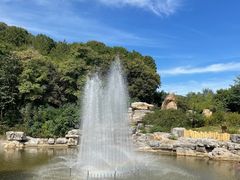 -北京西山国家森林公园