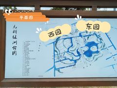 -九科绿洲