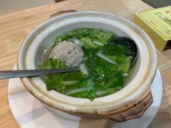 -丁老爷子苏香圆