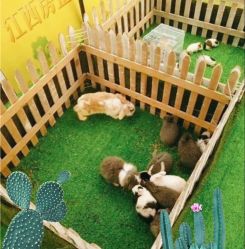 -萌宠亲子动物乐园(槐房万达店)