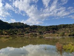 -飞凤山奥体公园
