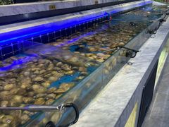 -川骄海鲜自助(河东店)
