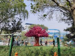 -太阳宫公园