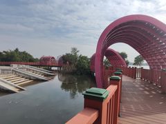 -芒洲湿地公园