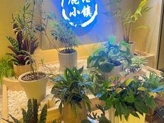 -鹿港小镇(西单大悦城店)