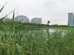 -保定东湖公园(莲池区)