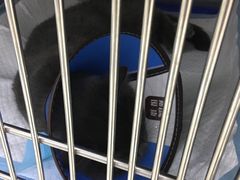-莘程宠物医院(金山店)