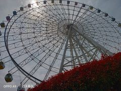 -琴岛之星摩天轮