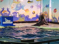 -太平洋海底世界