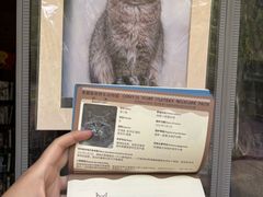 -青藏高原野生动物园