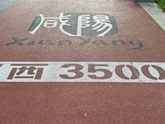 -渭滨公园