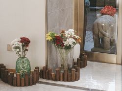 -雅曼妮spa美容养生