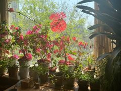 -云之南(八里庄店)