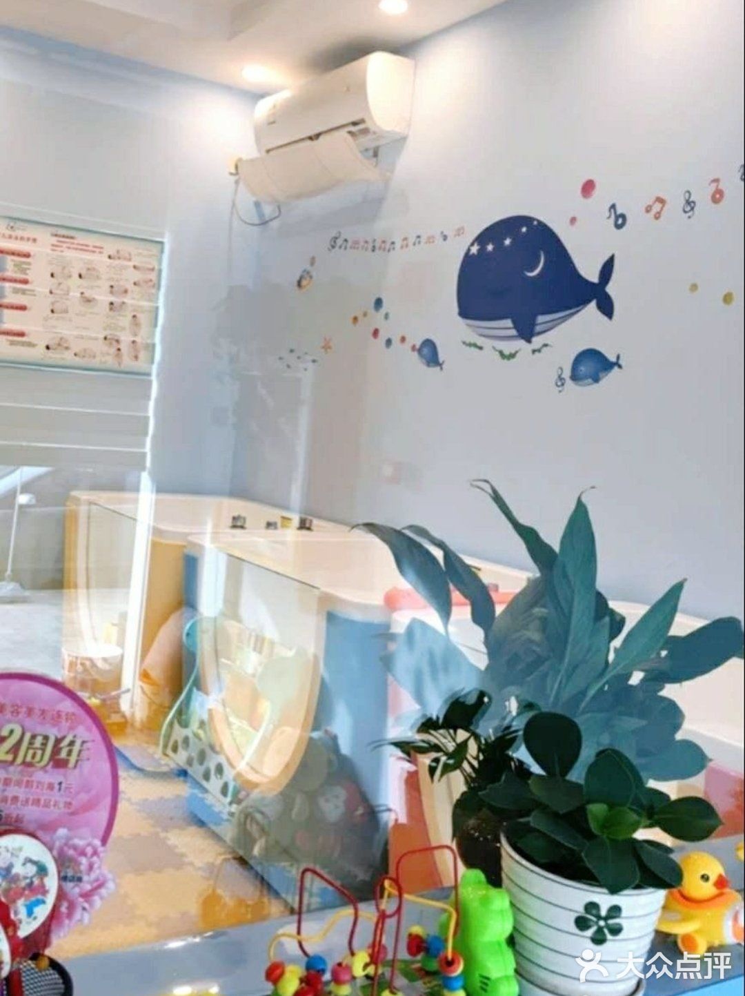 小鸭先知游泳