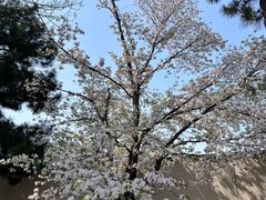 -日本大使馆-新闻文化中心