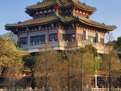 -顺峰山公园