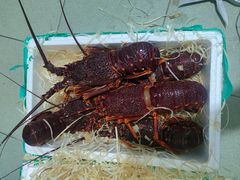 -新农都水产市场