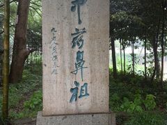 -桐君山春江扬帆码头