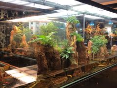 -泰谷酒店·太古码头闽菜自助餐厅