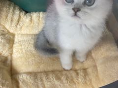 -佳雯宠物医院(四明中路分院)