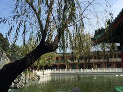 -广东圆玄道观
