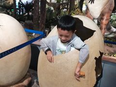 -湖南省地质博物馆