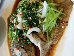 葱油多宝鱼-津菜典藏河西店(水上店)