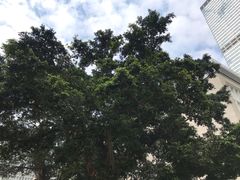 -圣约翰座堂