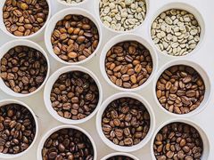 -ZING COFFEE 镜咖啡