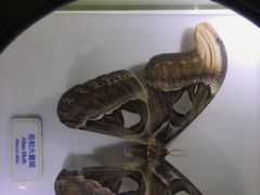 -香港科学馆
